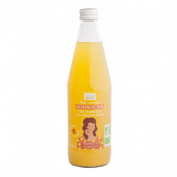 KOMBUCHA MANGUE PASSION 50CL