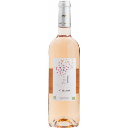 IGP MEDITERRANEE ROSE ALLUSION