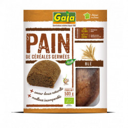 PAIN ESSENE NATURE 500G