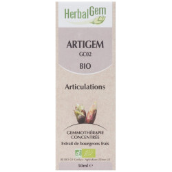 ARTIGEM 50ML