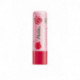BAUME LEVRES LISSANT 4.5G