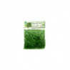 Haricots verts Extra fins (Cultivés en France)