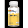 Shilajit (Complexe Minéral Fulvique)