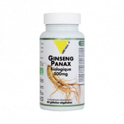 GINSENG PANAX BIO 60 GEL