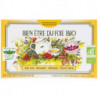 BIEN ETRE FOIE INFUSETTES X 20