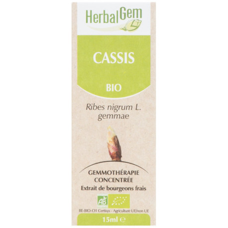 CASSIS 15ML