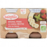 POT BANANE FRAISE MENTH 2X130G