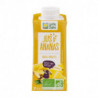Jus d'ananas 100% fruits