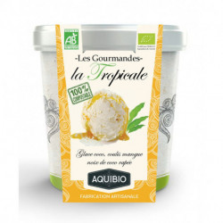 Crème glacée Gourmande 500ml TROPICALE