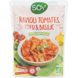 DOY RAVIOLI TOFU & BASILIC