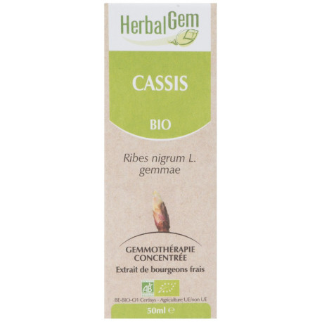 CASSIS 50ML