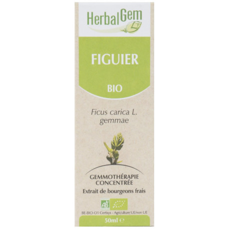 FIGUIER 50ML