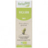 FIGUIER 50ML